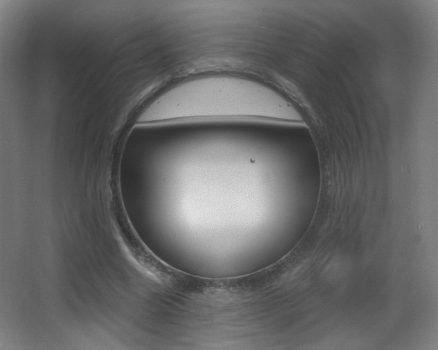 X0000068260538200604210917