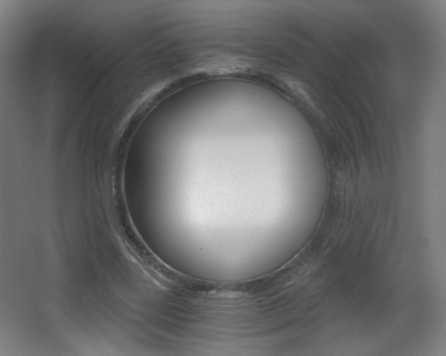 X0000068260539200604210917