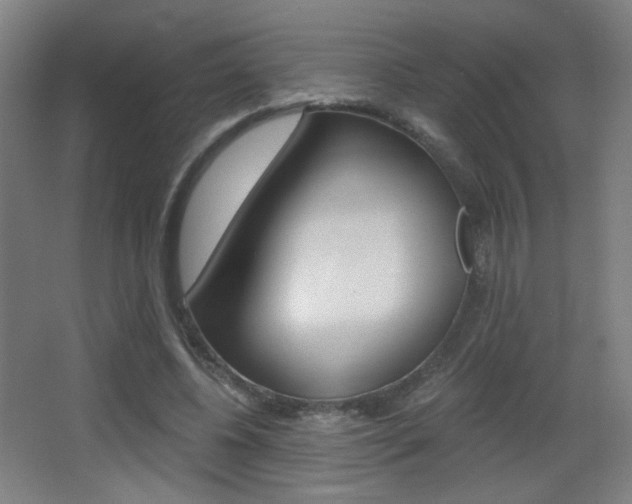 X0000068260540200604210917