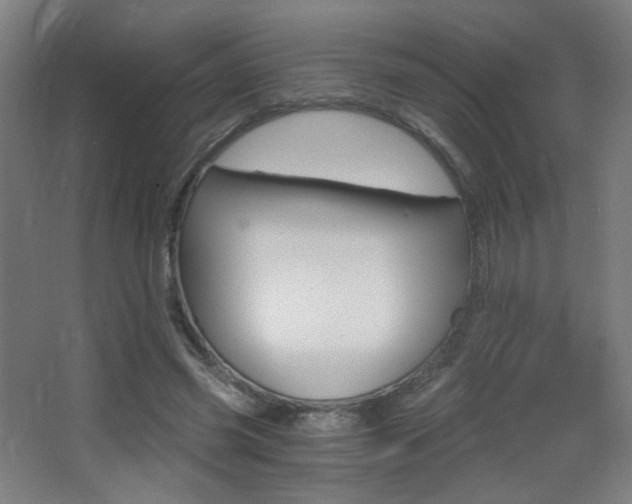 X0000068260541200604210917