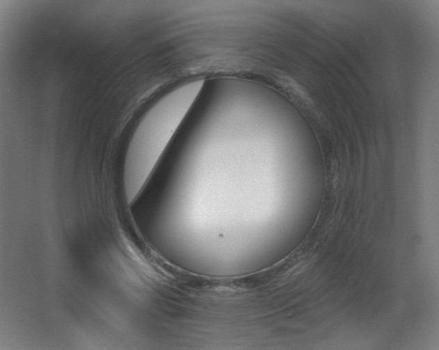X0000068260542200604210917