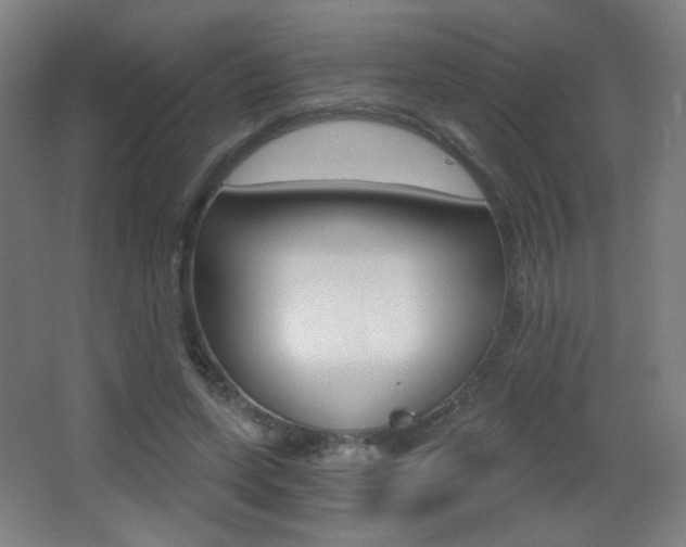 X0000068260543200604210917