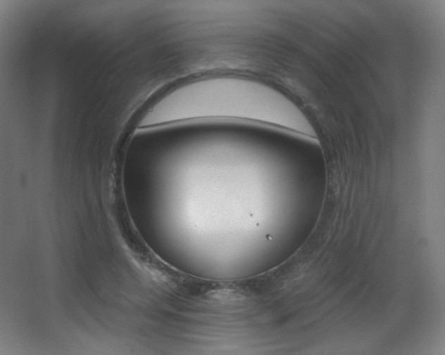 X0000068260544200604210917