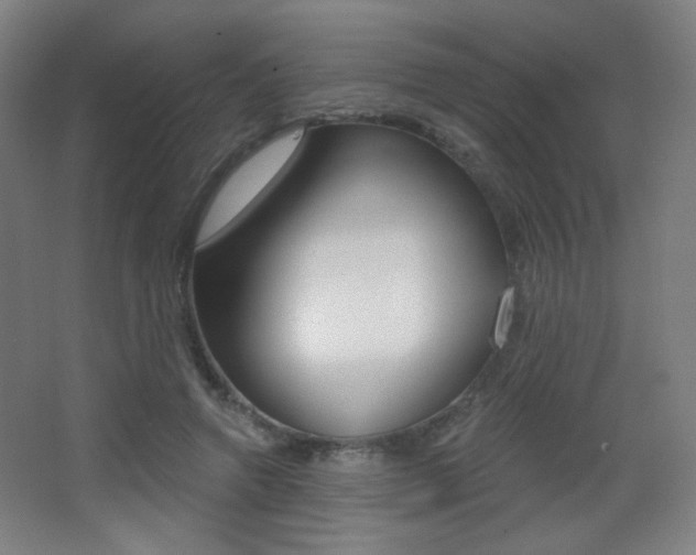 X0000068260546200604210917
