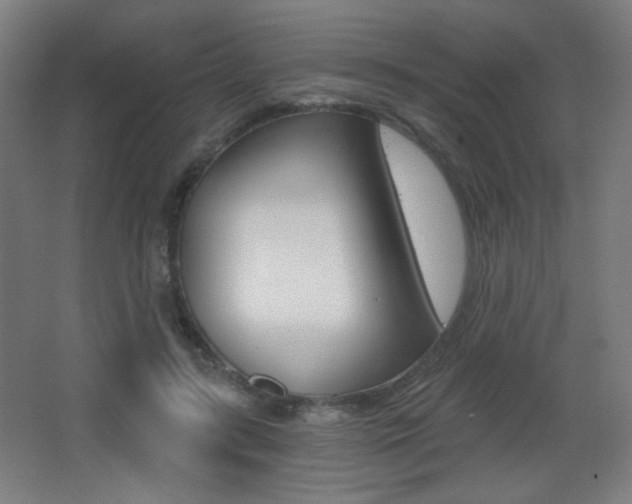 X0000068260547200604210917