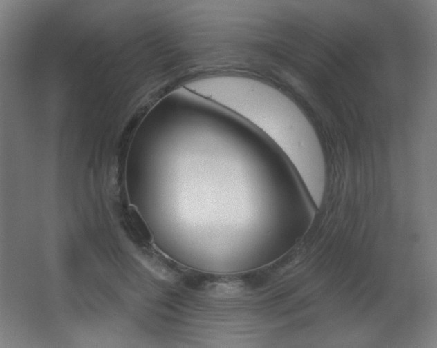 X0000068260548200604210917