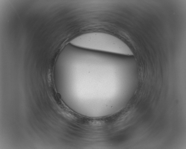 X0000068260549200604210917
