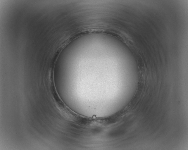 X0000068260550200604210917