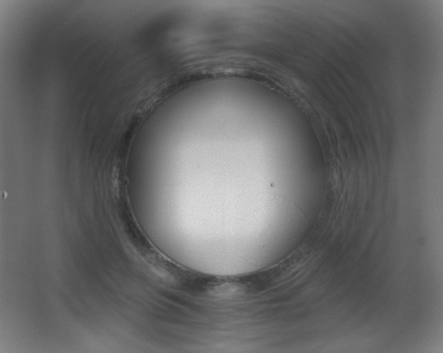 X0000068260551200604210917