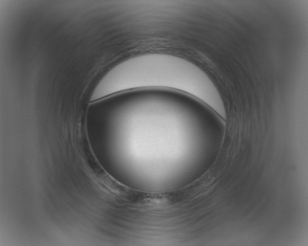 X0000068260552200604210917