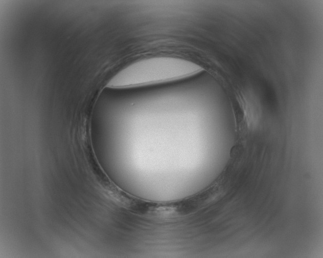 X0000068260554200604210917