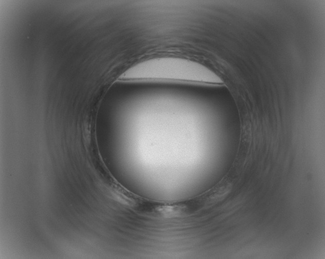 X0000068260558200604210917