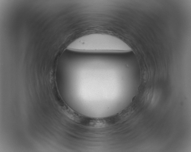 X0000068260559200604210917