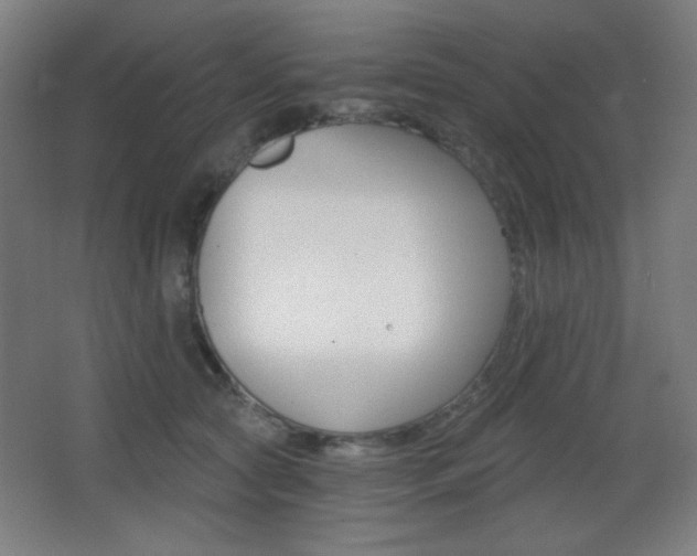 X0000068260561200604210917