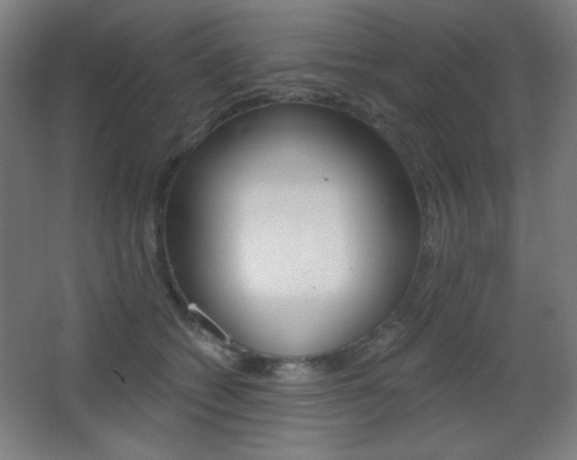 X0000068260562200604210917