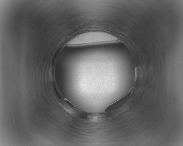 X0000068260564200604210917
