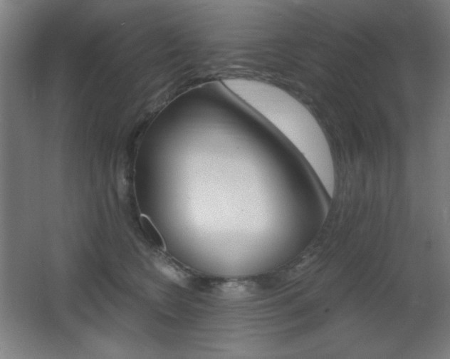 X0000068260566200604210917