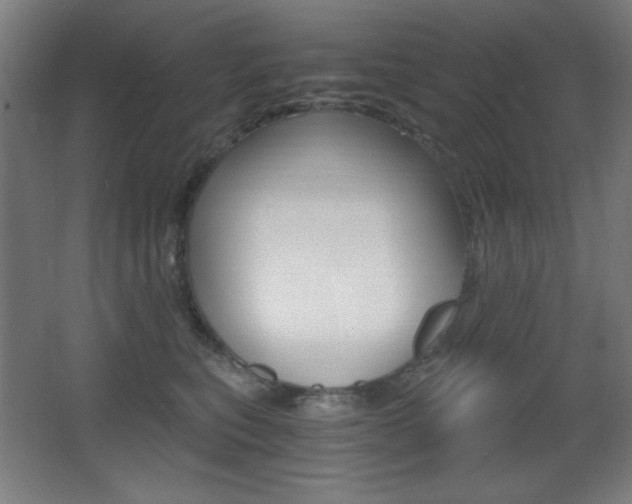 X0000068260567200604210917