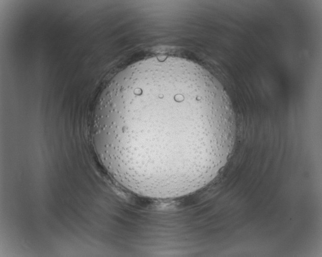 X0000068260569200604210917