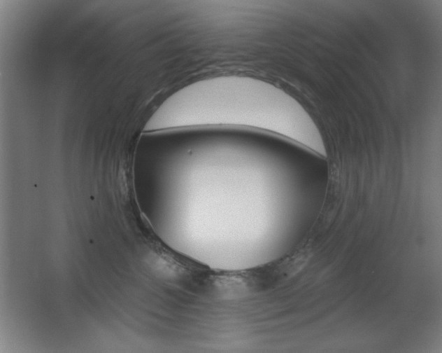 X0000068260572200604210917