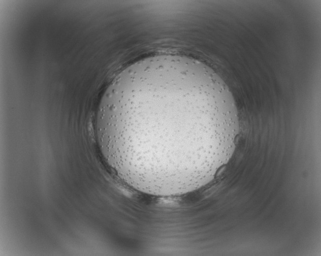 X0000068260573200604210917