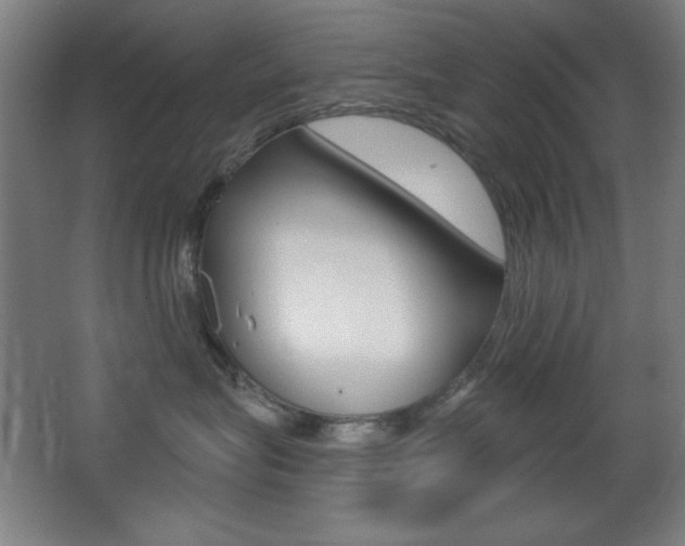 X0000068260575200604210917