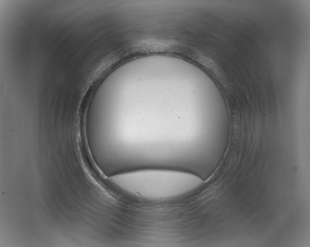 X0000068260582200604210916