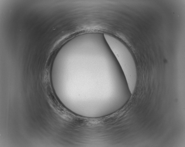 X0000068260583200604210916