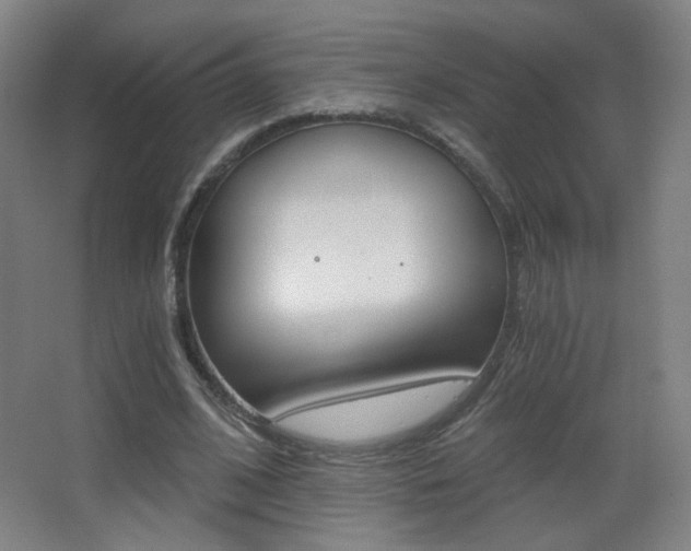 X0000068260584200604210916