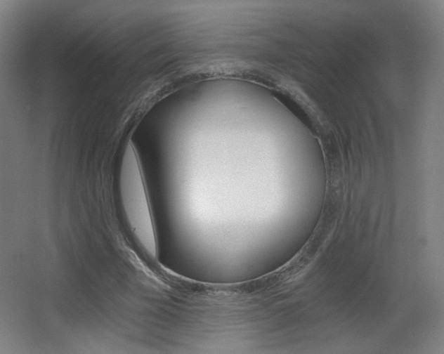 X0000068260585200604210916