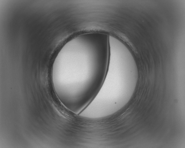 X0000068260588200604210916