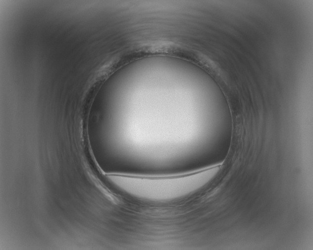 X0000068260589200604210916