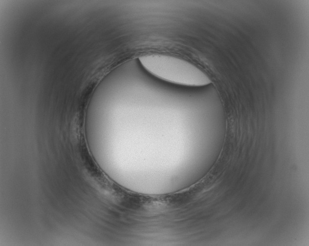 X0000068260594200604210916