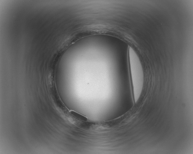 X0000068260597200604210916