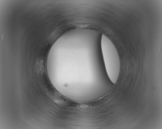 X0000068260598200604210916