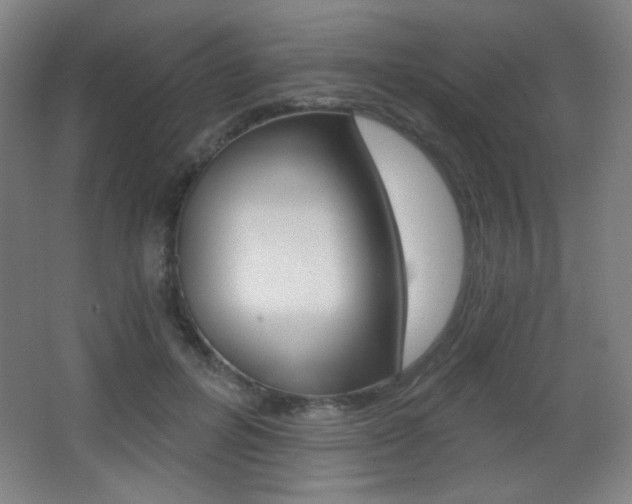 X0000068260600200604210916