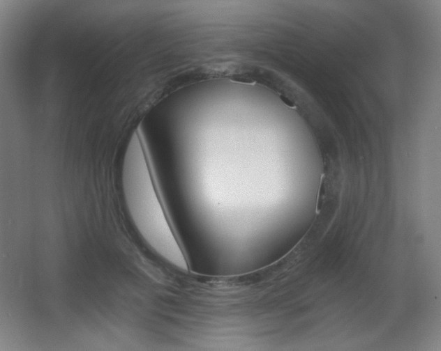 X0000068260601200604210916