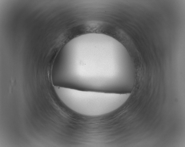 X0000068260602200604210916