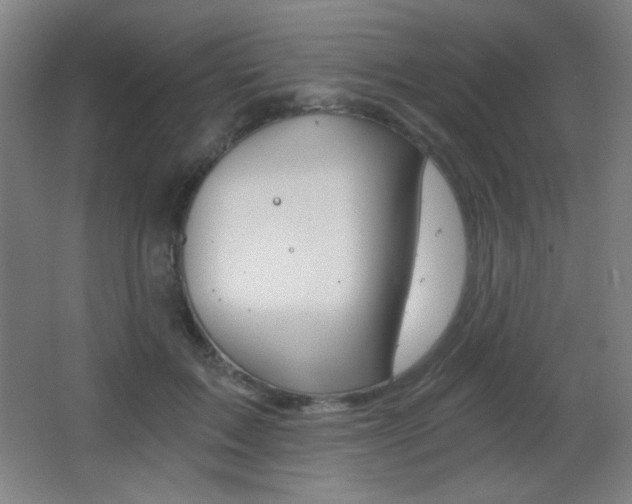 X0000068260603200604210916