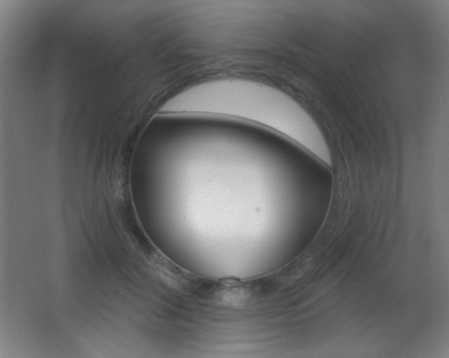 X0000068260604200604210916