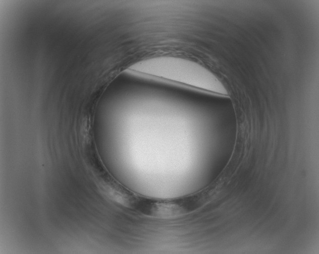 X0000068260605200604210916