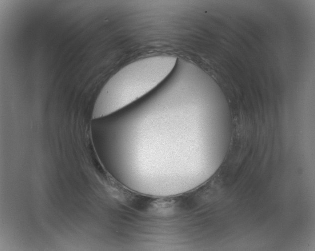 X0000068260606200604210916