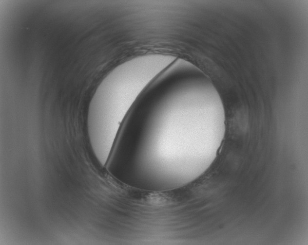X0000068260608200604210916