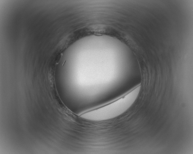 X0000068260609200604210916