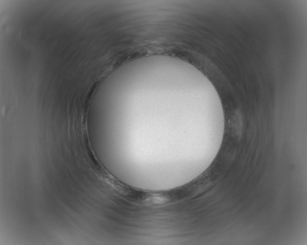 X0000068260610200604210916