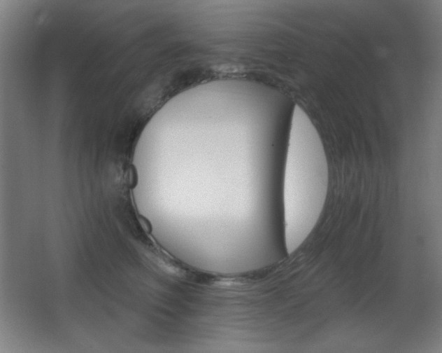 X0000068260614200604210916