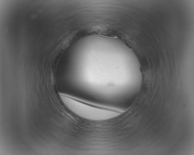 X0000068260617200604210916