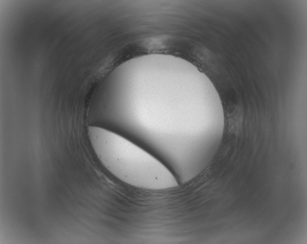 X0000068260618200604210916