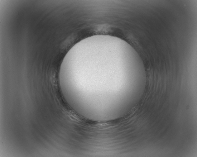 X0000068260619200604210916