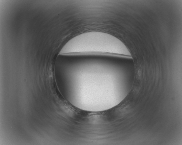 X0000068260620200604210916